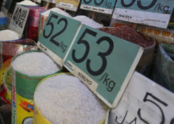 財政部:八月米價每公斤將下降 5 比索