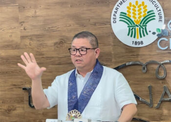 農業部長：降關稅不可能增加大米進口