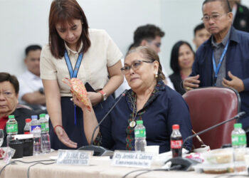 九信封證實薩拉捐教育部45 萬比索