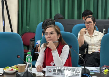 議員：颱風暴露了電力設施的弱點