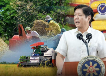 菲政府確保聖誕節大米供應穩定