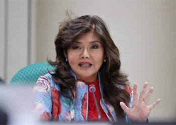 參議員伊梅: 準備因應川普回歸