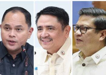 眾議院領袖譴責副總統薩拉