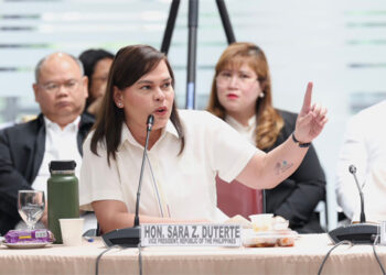 馬卡巴揚集團支持彈劾副總統薩拉