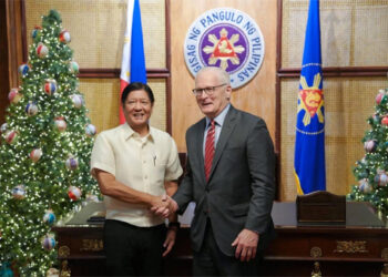 馬科斯望菲進一步發展半導體