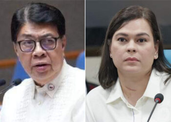 彈劾副總統薩拉 萊尼盟友也支持