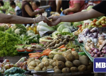 菲央行: 12 月通膨率穩定在 2.3-3.1%