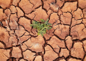 2025年高溫可能打破紀錄