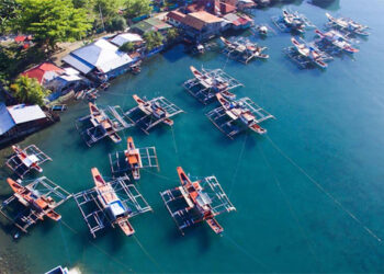 東達沃議會允許採礦 商界抨擊