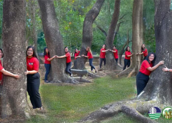 無緣約會 為何不擁抱一棵樹呢？