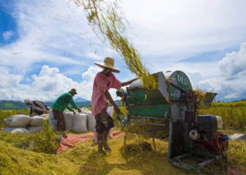 老馬留下遺產 有待小馬維護