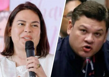 副總統薩拉望哥哥当眾議長