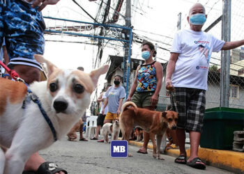 參議員：提高狂犬病疫苗覆蓋率