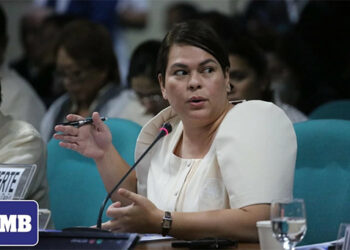 薩拉團隊：彈劾絕不能武器化