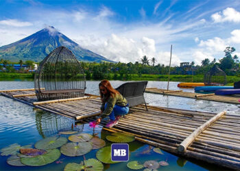 阿爾拜省環境惡化　教區警告