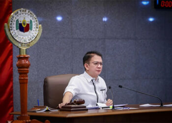 維拉紐瓦：埃斯庫德羅將續任參議長