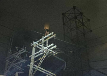 伴侶偷情　男子爬上電線桿