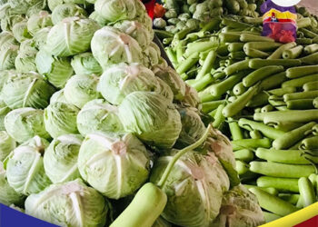 馬科斯無飢餓計畫有助降低飢餓