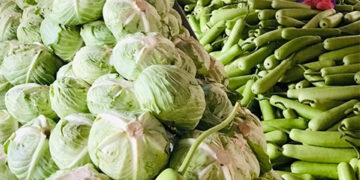 馬科斯無飢餓計畫有助降低飢餓