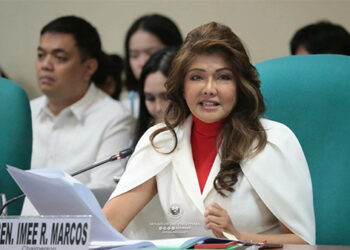 挺杜特地　伊梅公開「C計劃」