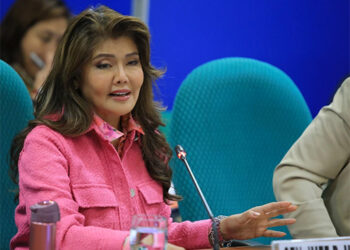 伊梅：沒有政變計劃，只談生存