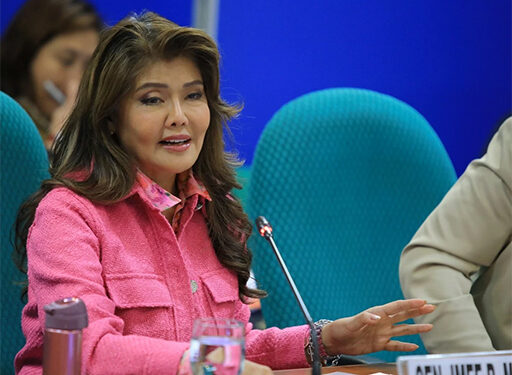 伊梅:沒有政變計劃,只談生存