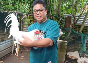 阿爾拜省廣播員遭槍擊身亡