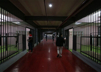 幽靈防洪　數位議員面臨指控