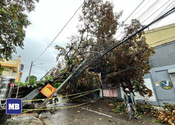 颱風狂襲 290萬居民斷電