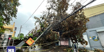 颱風狂襲　290萬居民斷電