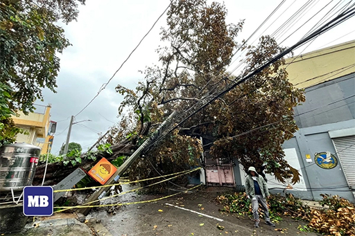 颱風狂襲 290萬居民斷電