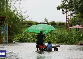 兩次台風　死亡升至238人
