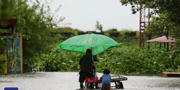 兩次台風　死亡升至238人