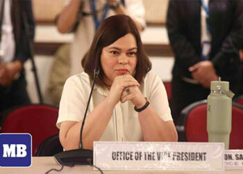 破壞穩定 副總統薩拉駁斥