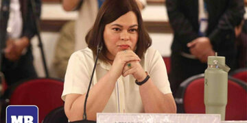 破壞穩定　副總統薩拉駁斥