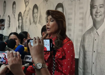 伊梅: 防洪調查證人會翻供