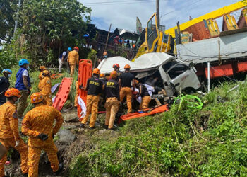 阿爾拜省兩車相撞　死亡11人