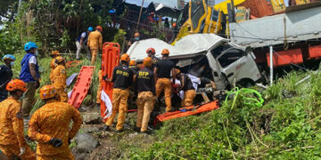 阿爾拜省兩車相撞　死亡11人