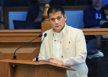 议员罗宾:决不降服外国势力