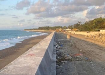 安蒂克河公園項目 民間叫停