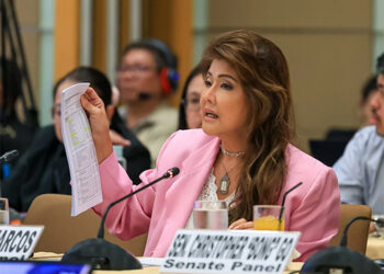 預算漏洞　伊梅拒簽一般撥款法案