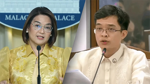 總統府：萊維斯特文件非確鑿證據