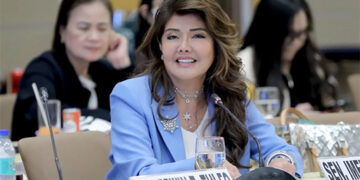 伊梅：杜特地副總統治國有方