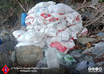 68億披索冰毒　兩外國人落網