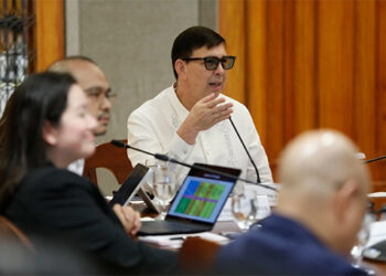 增加石油儲備　寄望石油外交