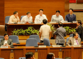 爭取降低增值稅　議員拒絕被挾持