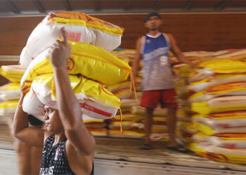 穩定價格 政府拟增加進口大米