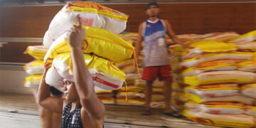 穩定價格　政府拟增加進口大米