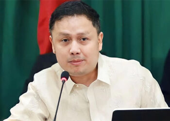 參院敦促政府引渡防洪違規嫌犯