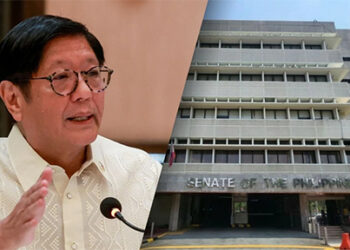 總統府：參議院從未遭到攻擊